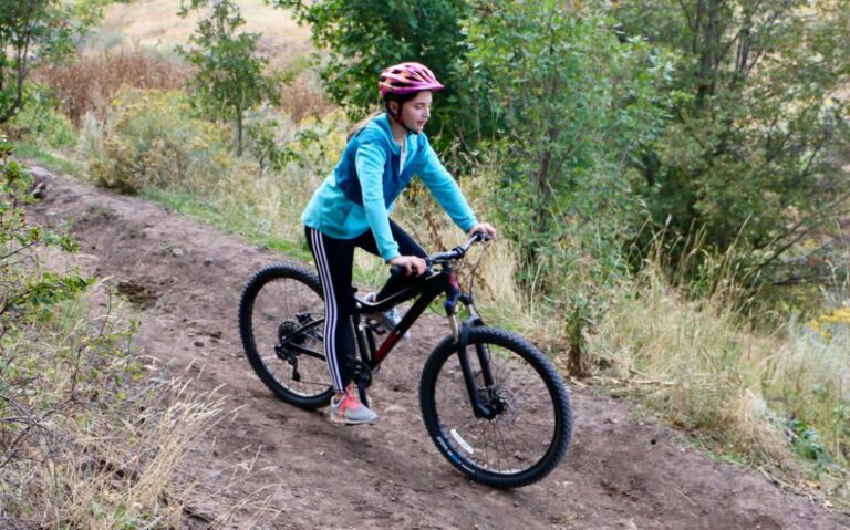 Diamondback Lux 3 Review