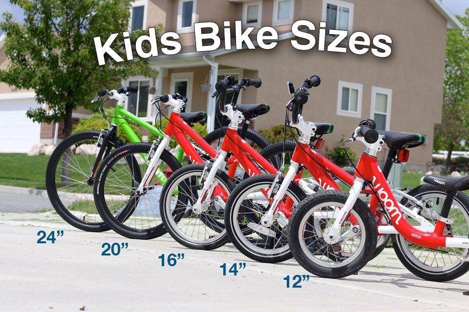 kids bike sizes image showing all sizes of kids bikes next to each other, starting at 12 and going to 24

