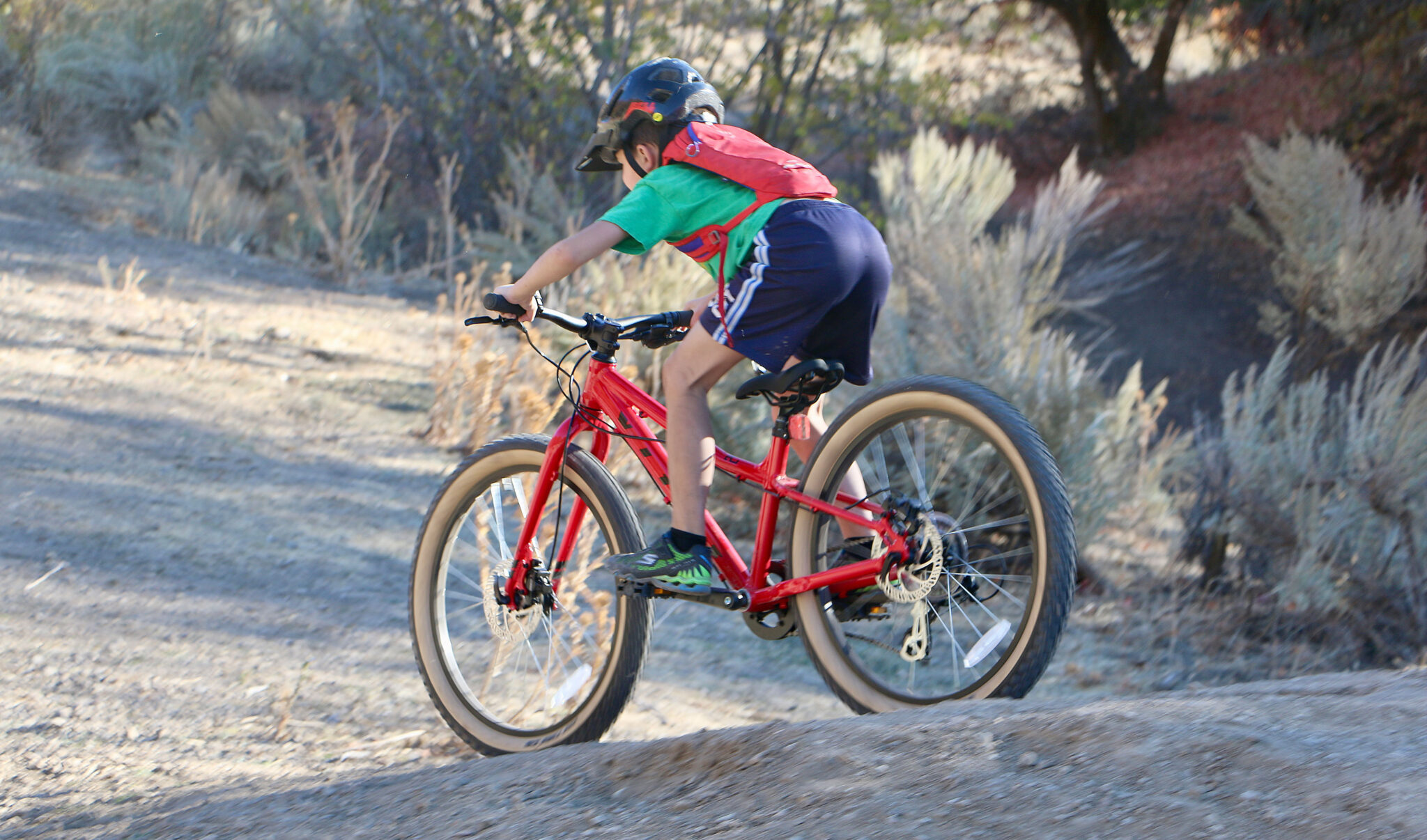 vitus 24 mtb