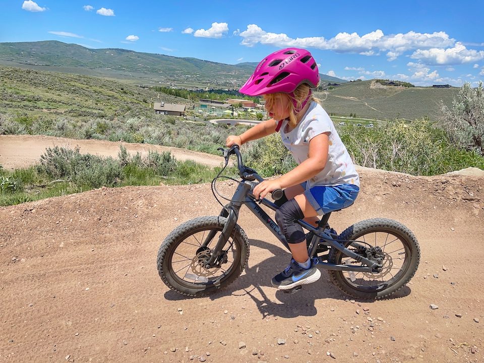 ritme Perforeren Souvenir 7 Best 16 Inch Mountain Bikes - Tested and Approved By Our Kids!